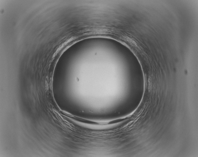 X0000059081212200510211533