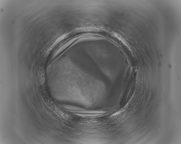 X0000059081213200510211533