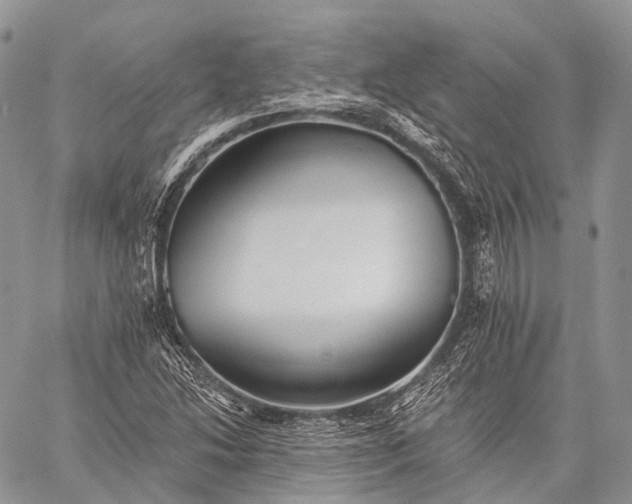 X0000059081214200510211533