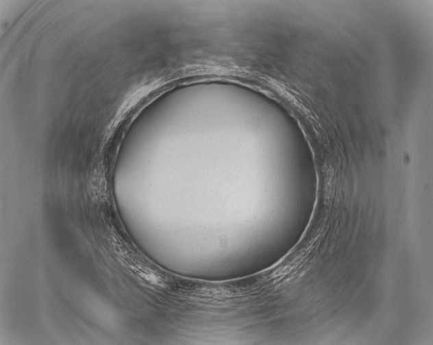 X0000059081215200510211533