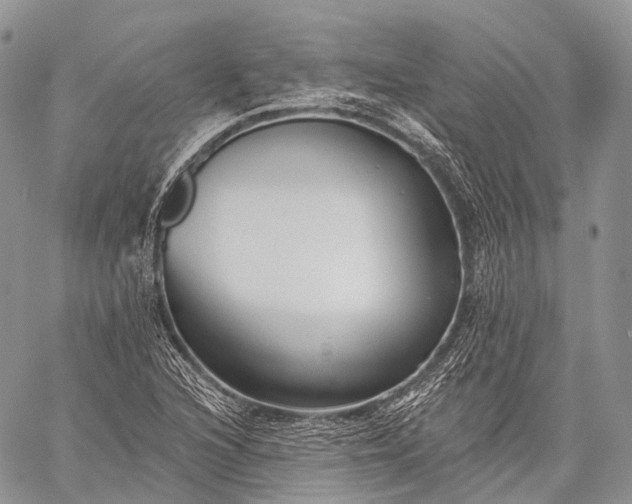 X0000059081216200510211533