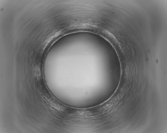 X0000059081218200510211533