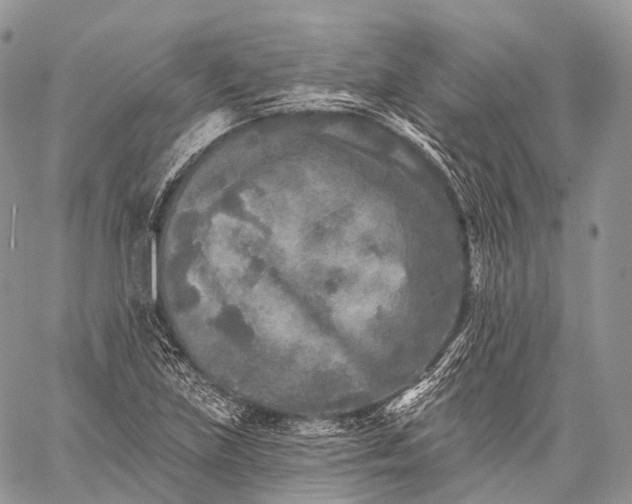 X0000059081219200510211533