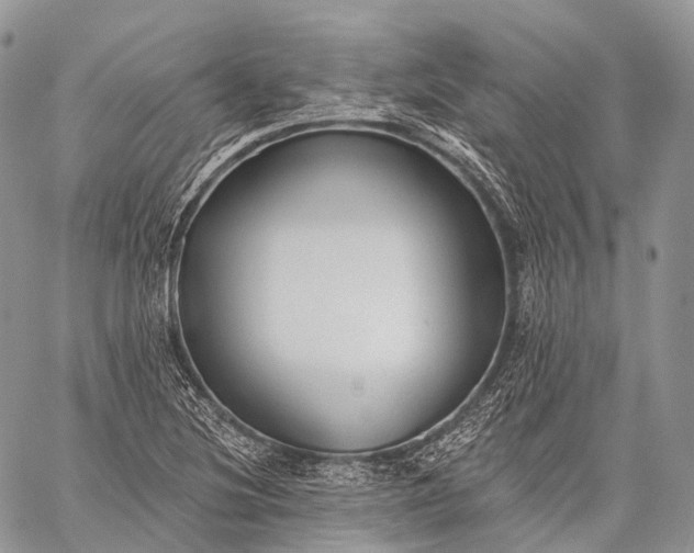 X0000059081220200510211533