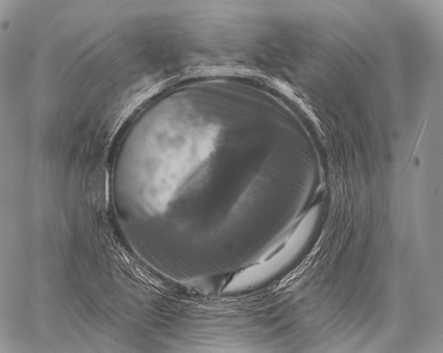 X0000059081221200510211533