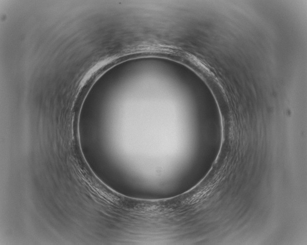 X0000059081222200510211533