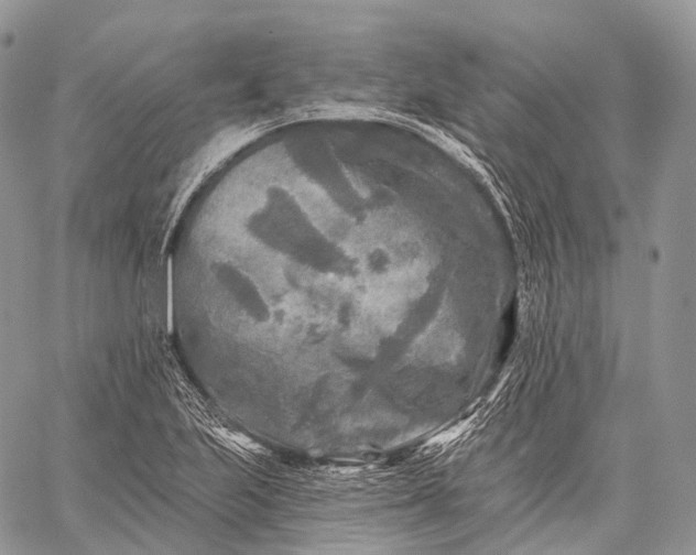 X0000059081223200510211533