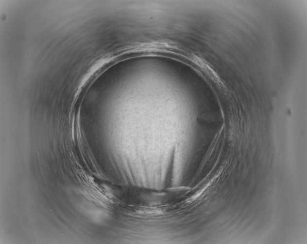 X0000059081224200510211533