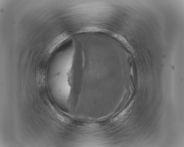 X0000059081225200510211533