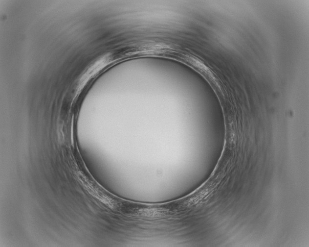 X0000059081227200510211533