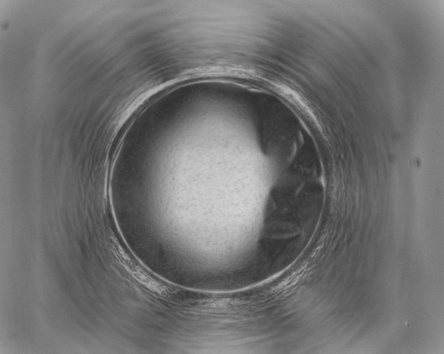 X0000059081228200510211533