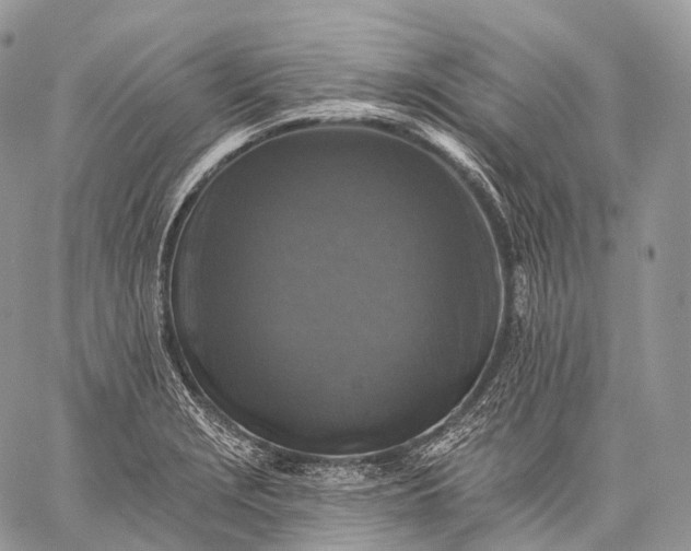 X0000059081229200510211533