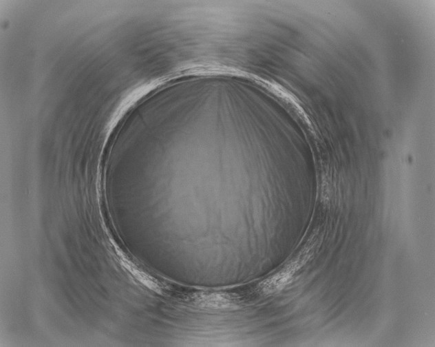 X0000059081231200510211534