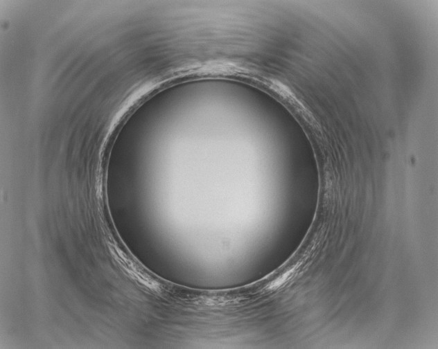 X0000059081232200510211534