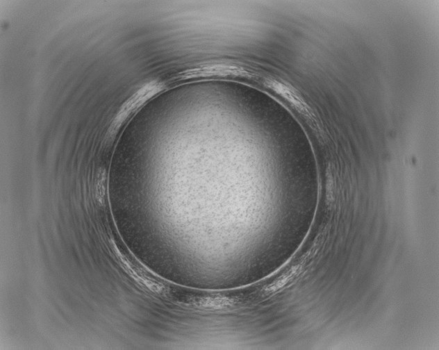 X0000059081233200510211534