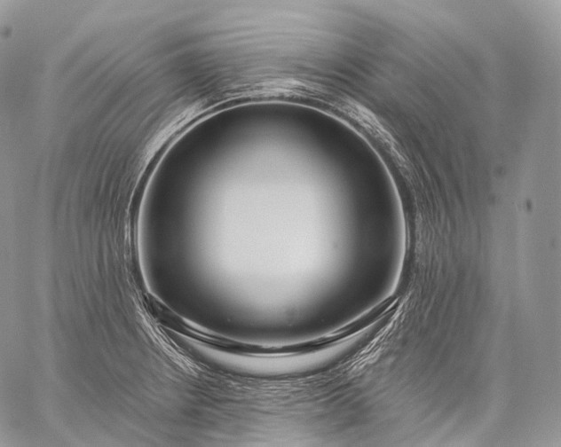 X0000059081234200510211534