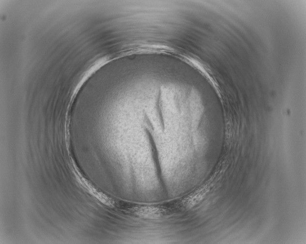 X0000059081235200510211534