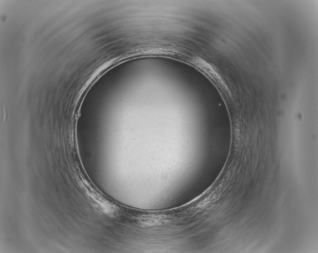 X0000059081236200510211534