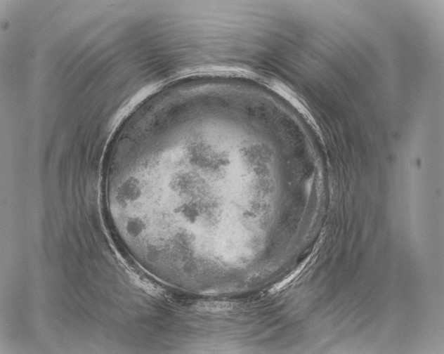 X0000059081237200510211534