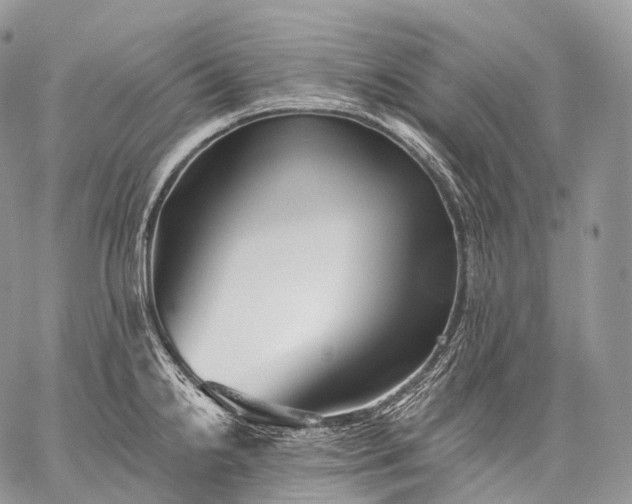 X0000059081238200510211534