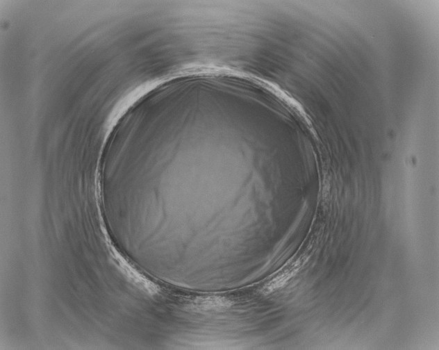 X0000059081239200510211534