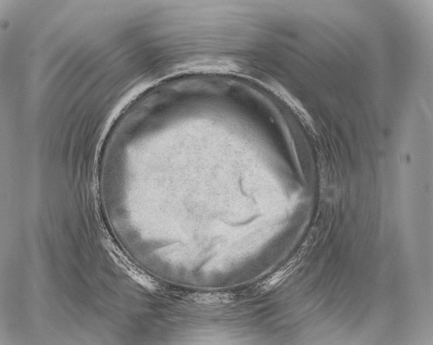 X0000059081240200510211534