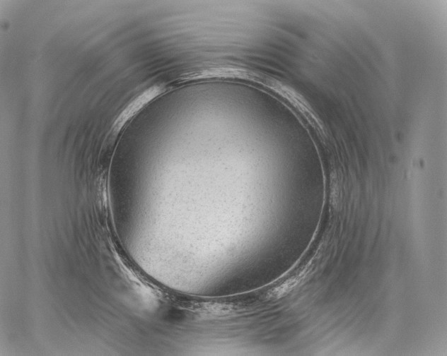 X0000059081241200510211534