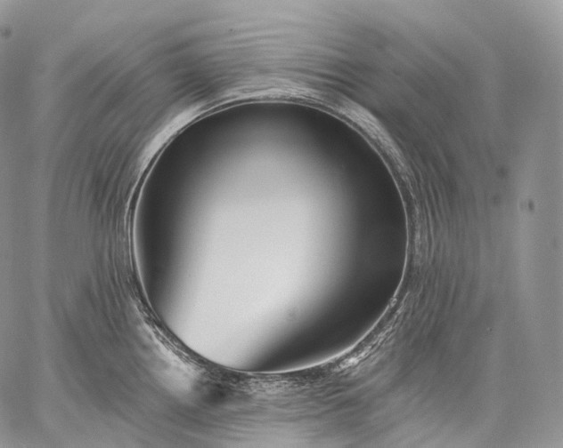 X0000059081242200510211534