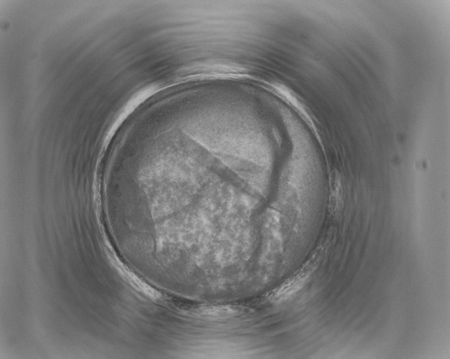 X0000059081243200510211534