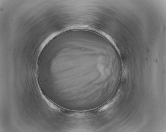 X0000059081245200510211534