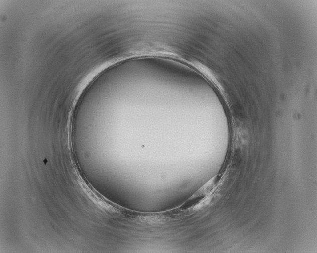 X0000059081246200510211534