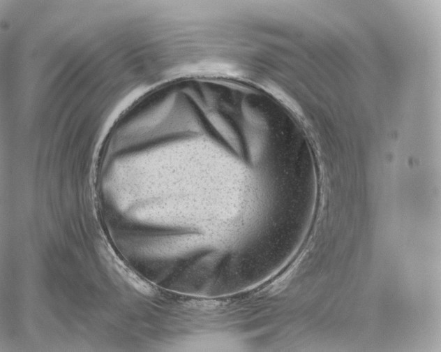 X0000059081248200510211534