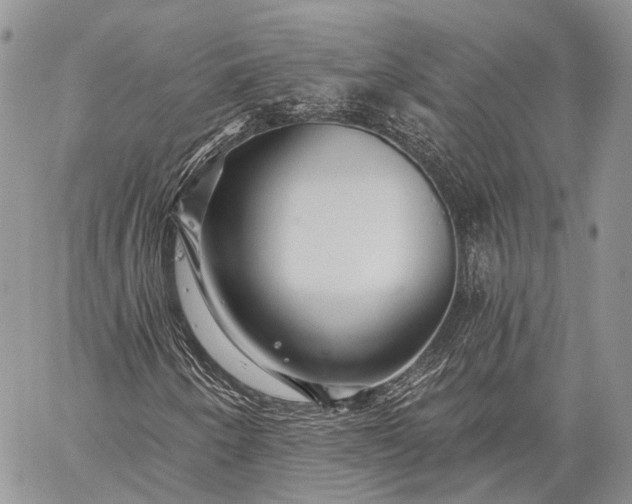 X0000059081250200510211533