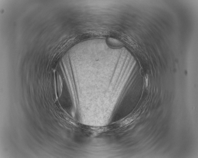 X0000059081251200510211533