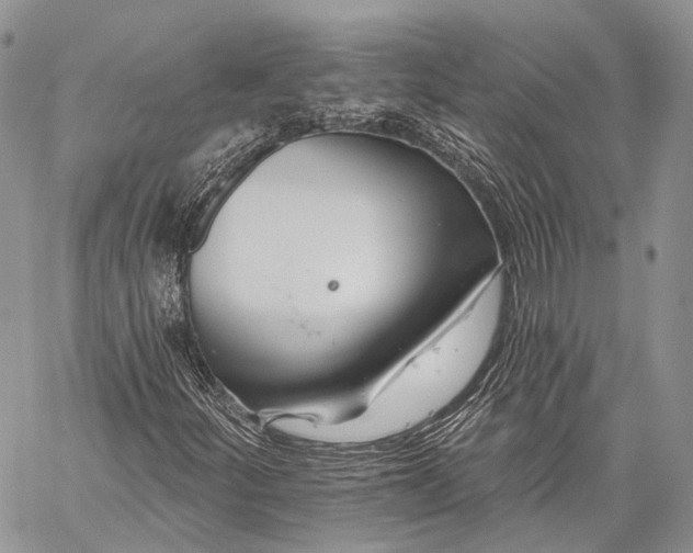 X0000059081252200510211533