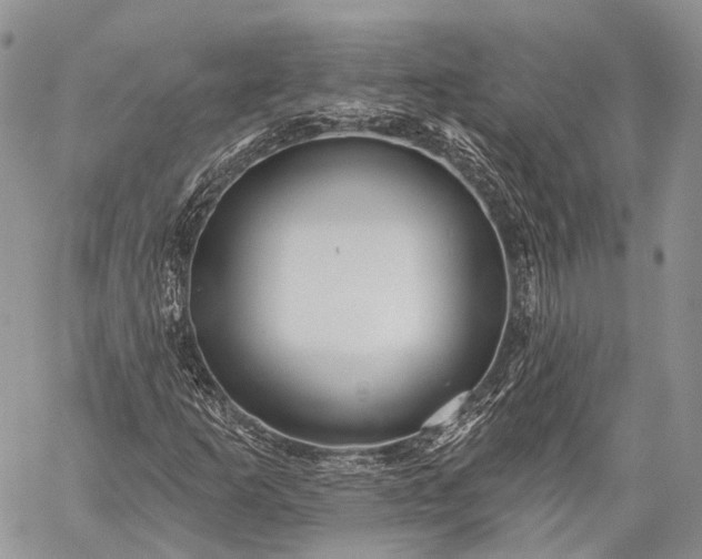 X0000059081253200510211533