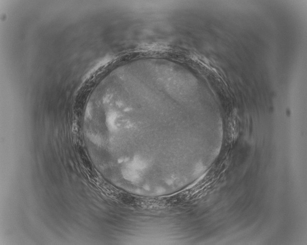 X0000059081254200510211533