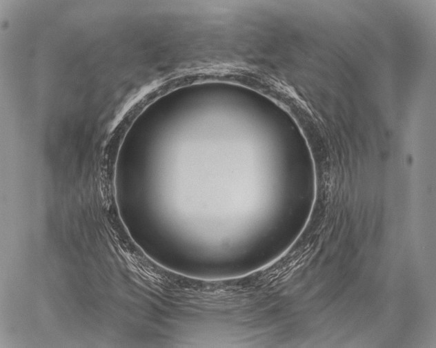 X0000059081256200510211533