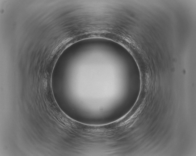 X0000059081257200510211533