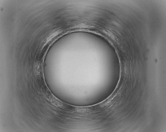 X0000059081258200510211533