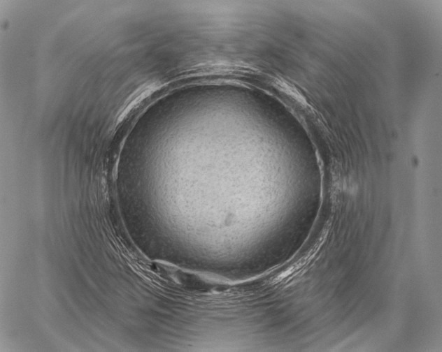 X0000059081259200510211533