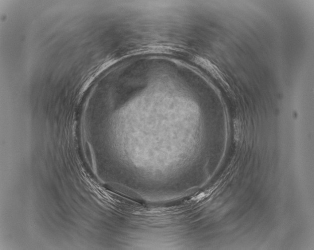 X0000059081260200510211533