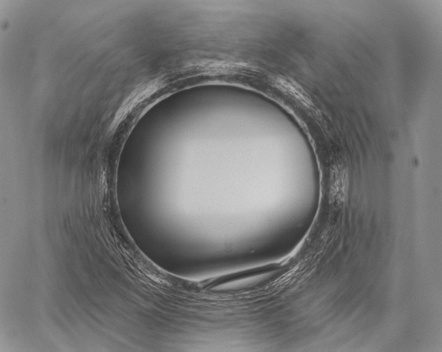 X0000059081261200510211533