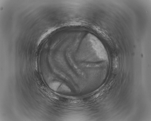 X0000059081262200510211533