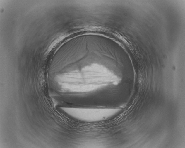 X0000059081263200510211533