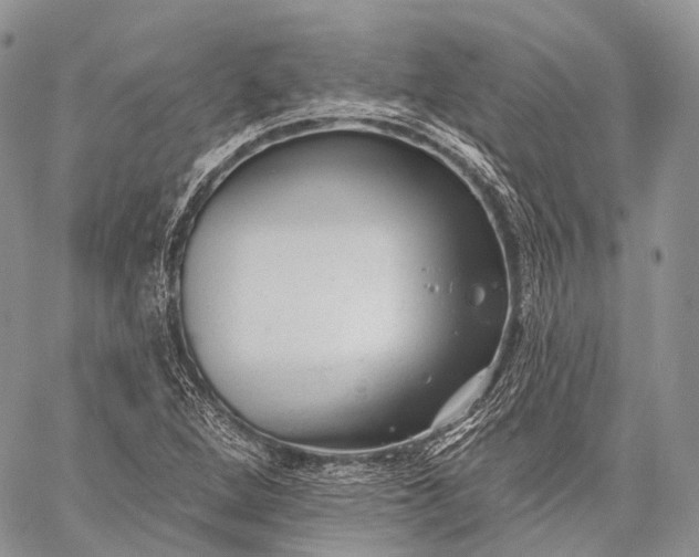 X0000059081264200510211533