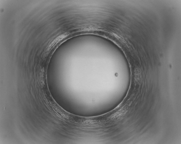 X0000059081265200510211533