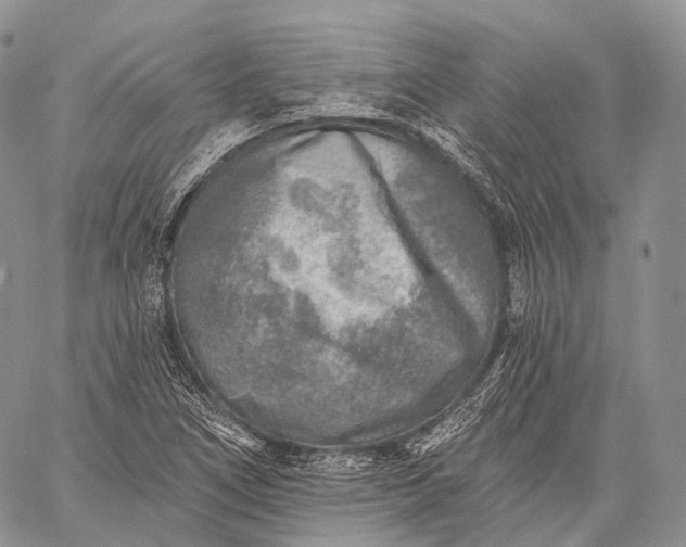 X0000059081266200510211533