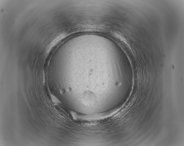 X0000059081267200510211533