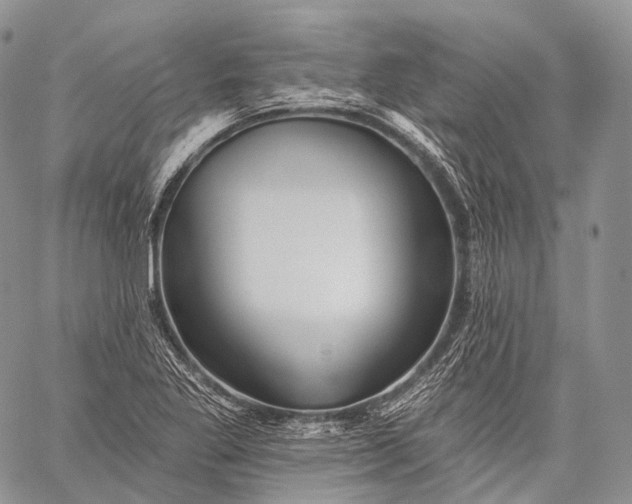 X0000059081269200510211533